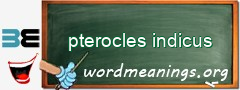 WordMeaning blackboard for pterocles indicus